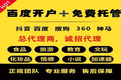网络营销实战：成功竞价推广案例分析
